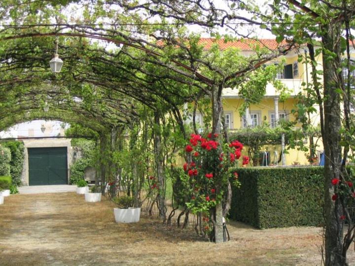 Casa/Apartamento De Hospedes ビアナドカステロ エクステリア 写真